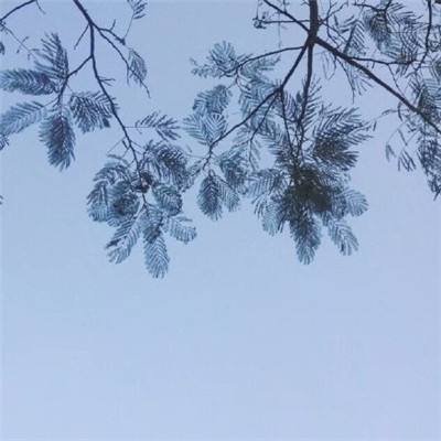 大圣擒妖记手游下载