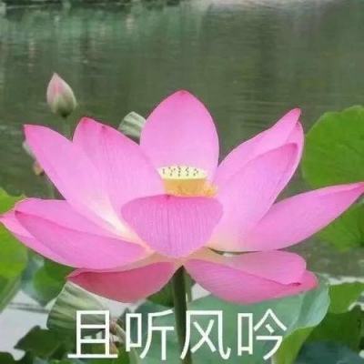 圣光之战百度版下载